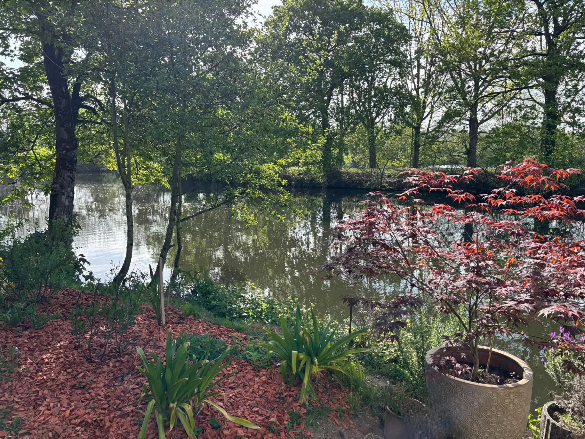 La Vilaine bordée d’arbres, vue depuis la terrasse