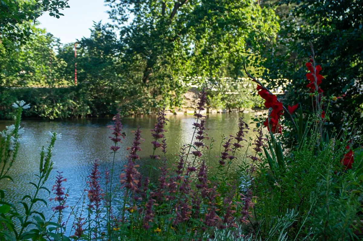 Les bords de la Vilaine et leur massif fleuri
