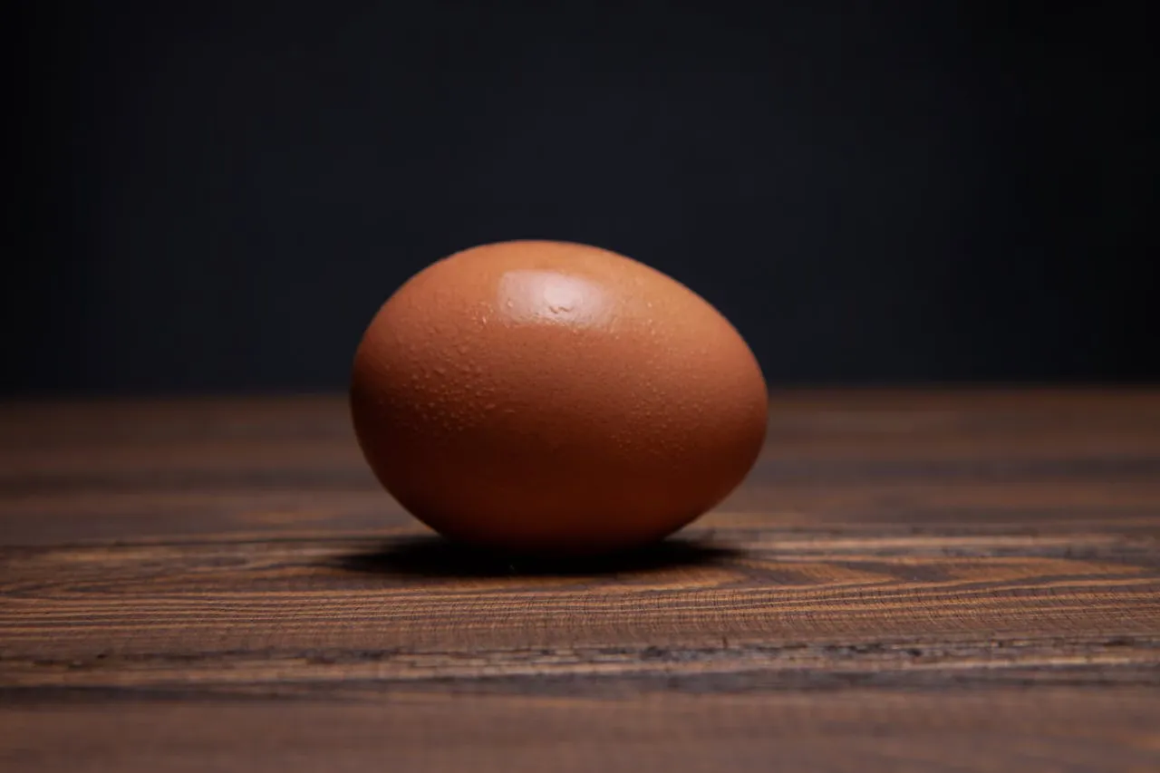 Œuf brun posé sur une table en bois