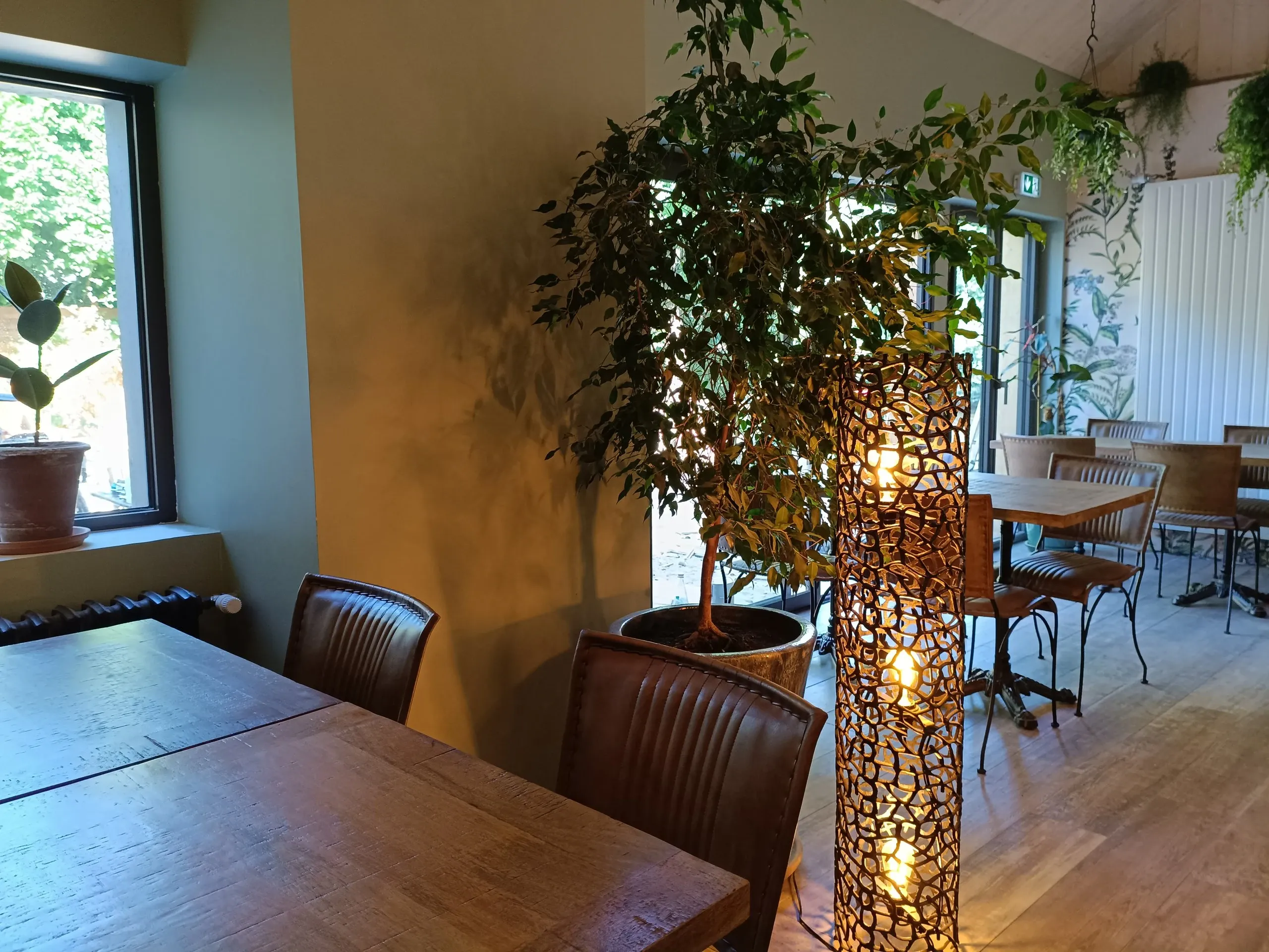 Salle du restaurant, grande plante verte et colonne lumineuse en osier